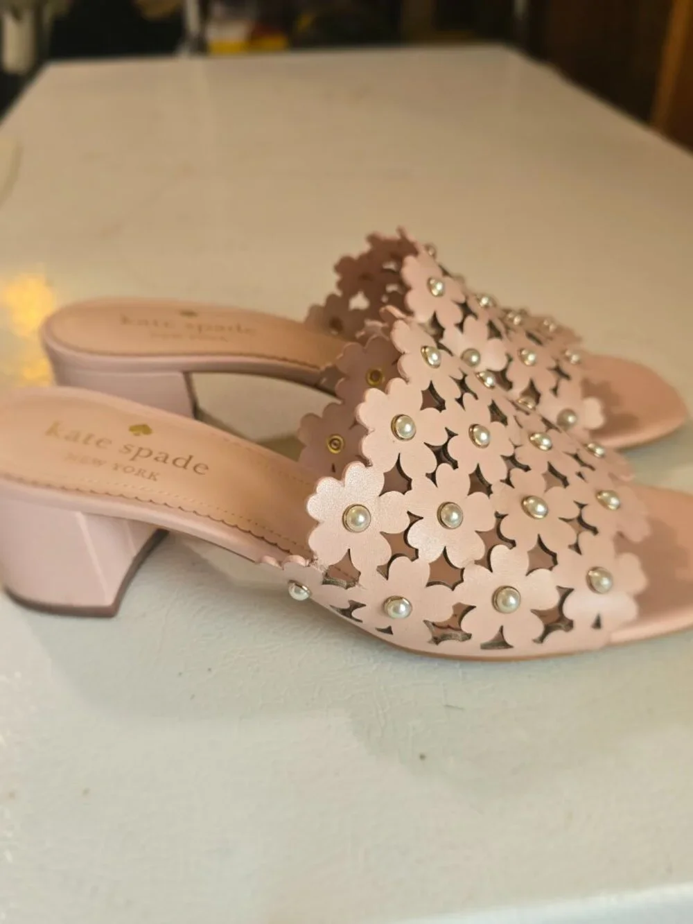 kate spade brand kate